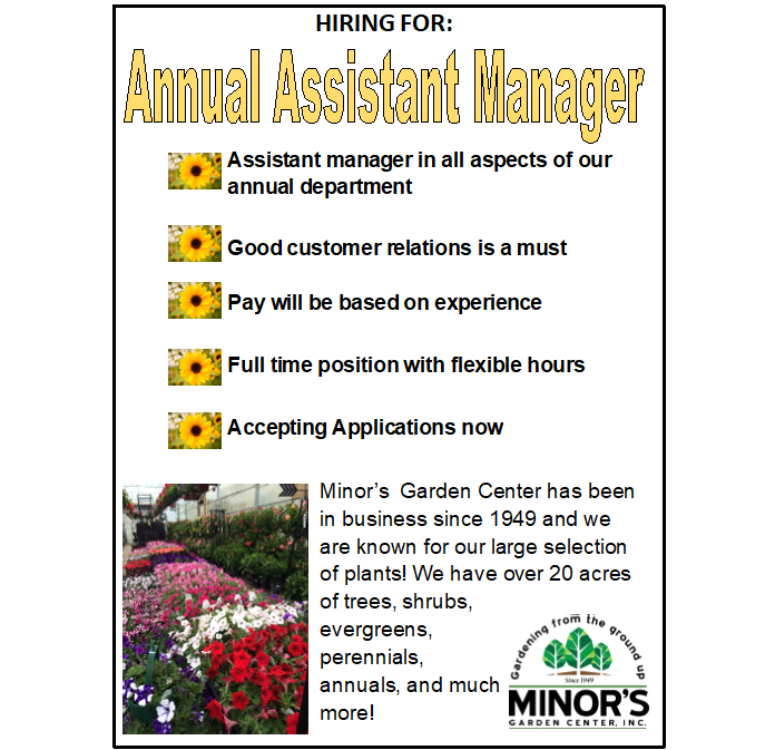 Annual Assistant Manager Job description
